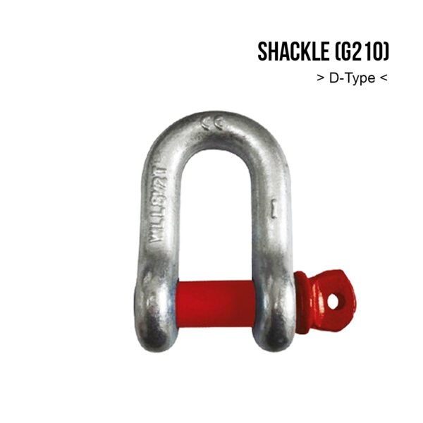 Shackle D Type (G210)