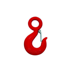 Eye Hook with Latch